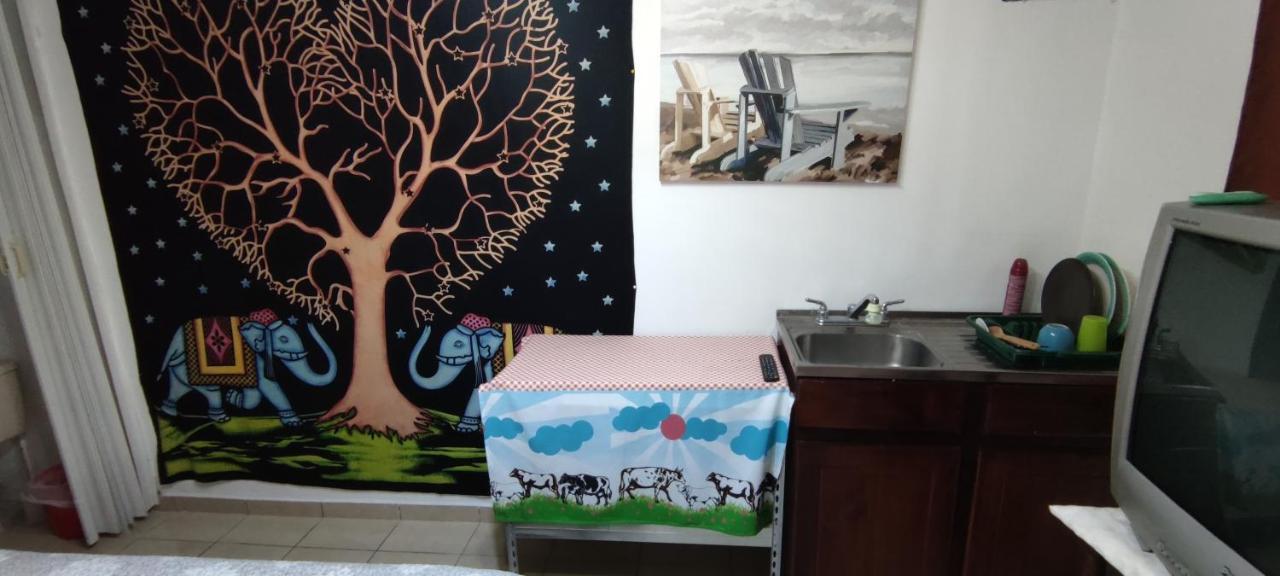 شقة سان هوزيه  في Zorobaru Casa المظهر الخارجي الصورة